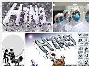 国家卫计委印发H7N9禽流感诊疗方案（2014年版）缩略图