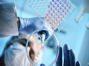 药品研发者可申请注册药品？缩略图