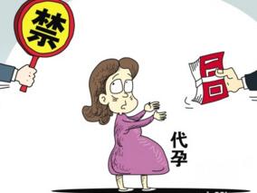 代孕是否可放开 医生这样说……缩略图