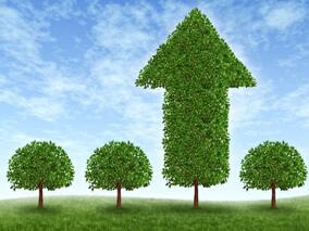取消药品加成 医院有的赔有的赚？缩略图