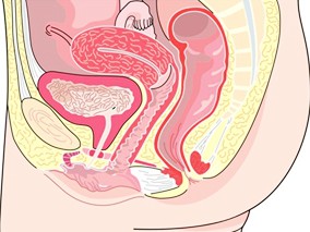 ART治疗期间精神损害与性腺机能减退或与治疗方案无关缩略图