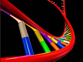 家族性高胆固醇血症患者降脂治疗的遗传药理学研究缩略图