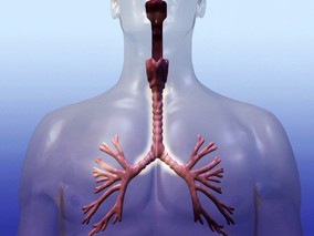 III期非小细胞肺癌：顺铂联合依托泊苷vs卡铂联合紫杉醇缩略图