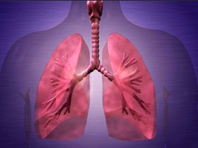 COPD-LUCSS是预测慢性阻塞性肺疾病患者肺癌风险的良好工具？缩略图