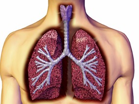 二甲双胍能否提高患有IV期NSCLC的糖尿病患者生存率？缩略图