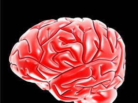 单纯疱疹病毒性脑炎：长期伐昔洛韦治疗方案缺乏临床获益？缩略图