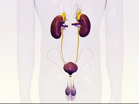 重症患者连续性肾脏替代治疗：枸橼酸盐+钙 vs 肝素+鱼精蛋白缩略图