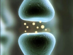 髋关节和膝关节置换术前接受抗生素预防能否降低感染发生率？缩略图